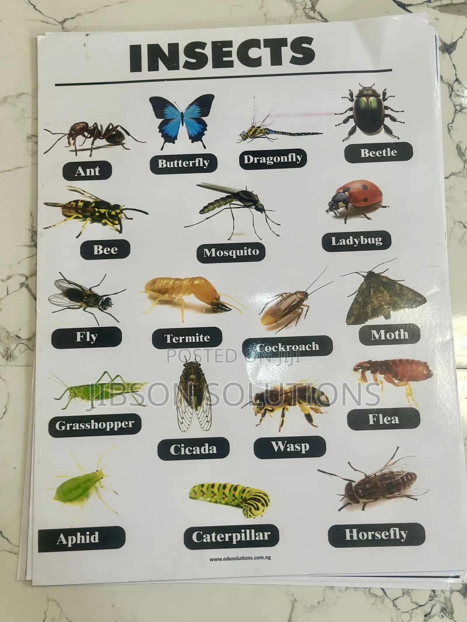 Classroom Chart