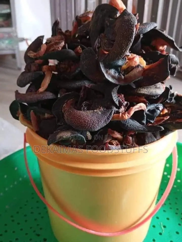 Neatly Selected and Dried Snail