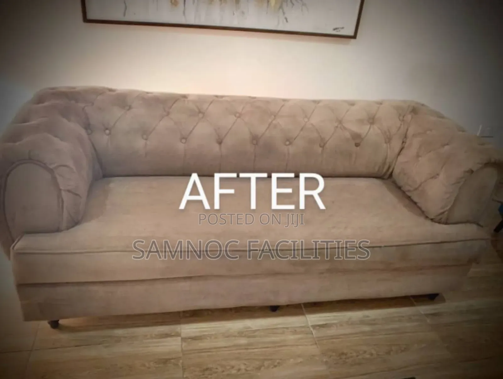 SOFA and COUCH Laundry