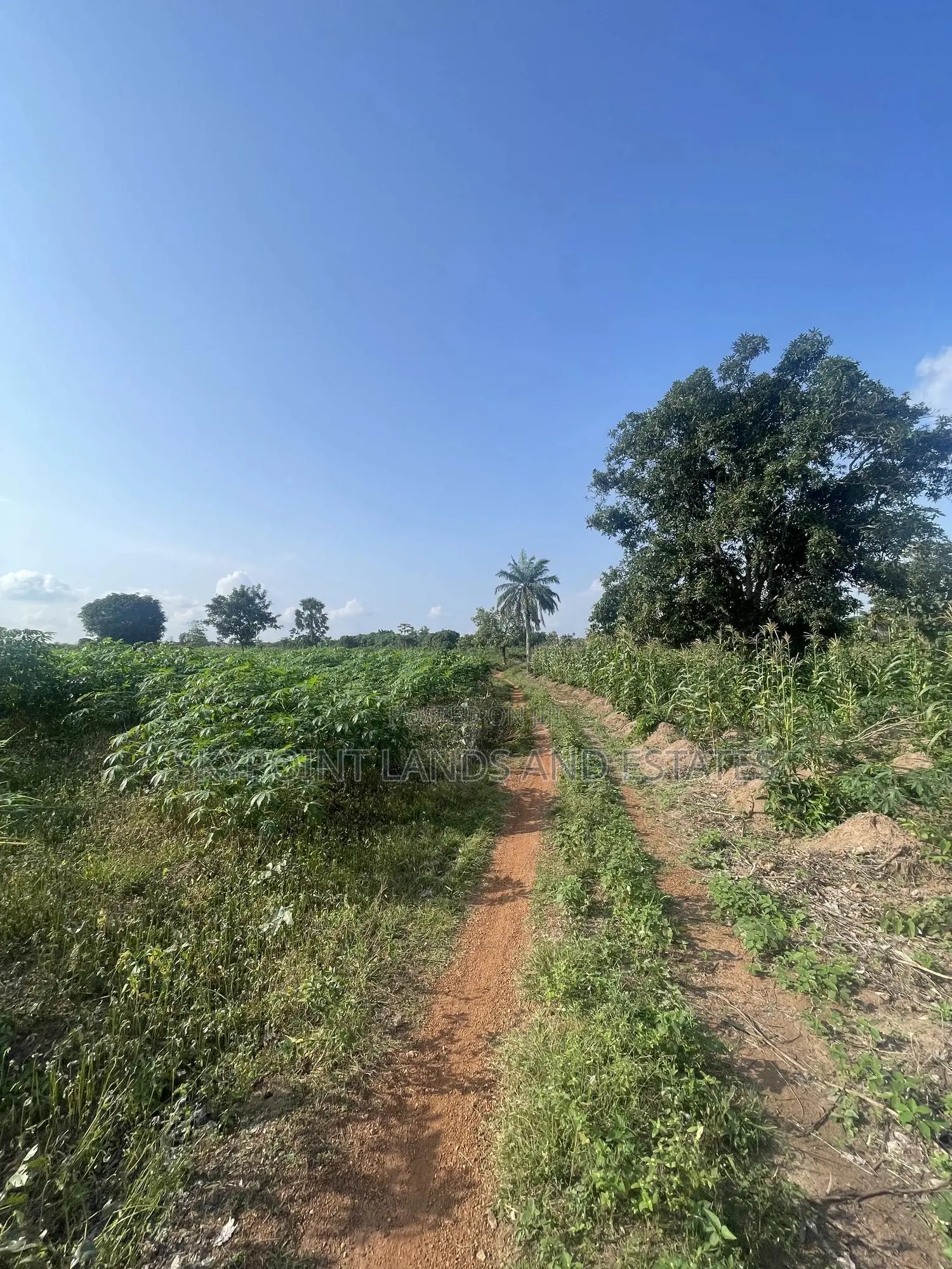 2,000 Acres of Land for Sale at Komu,Itesiwaju Lga Oyo State