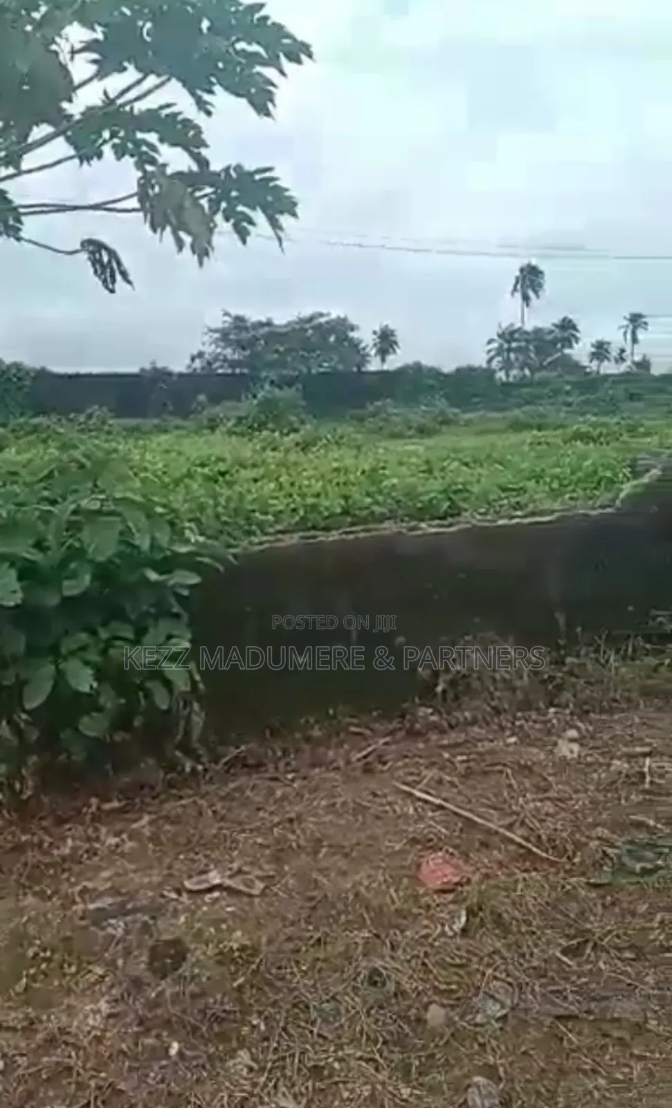 For Sale : 20 Plots in an Estate , Rumuodomaya
