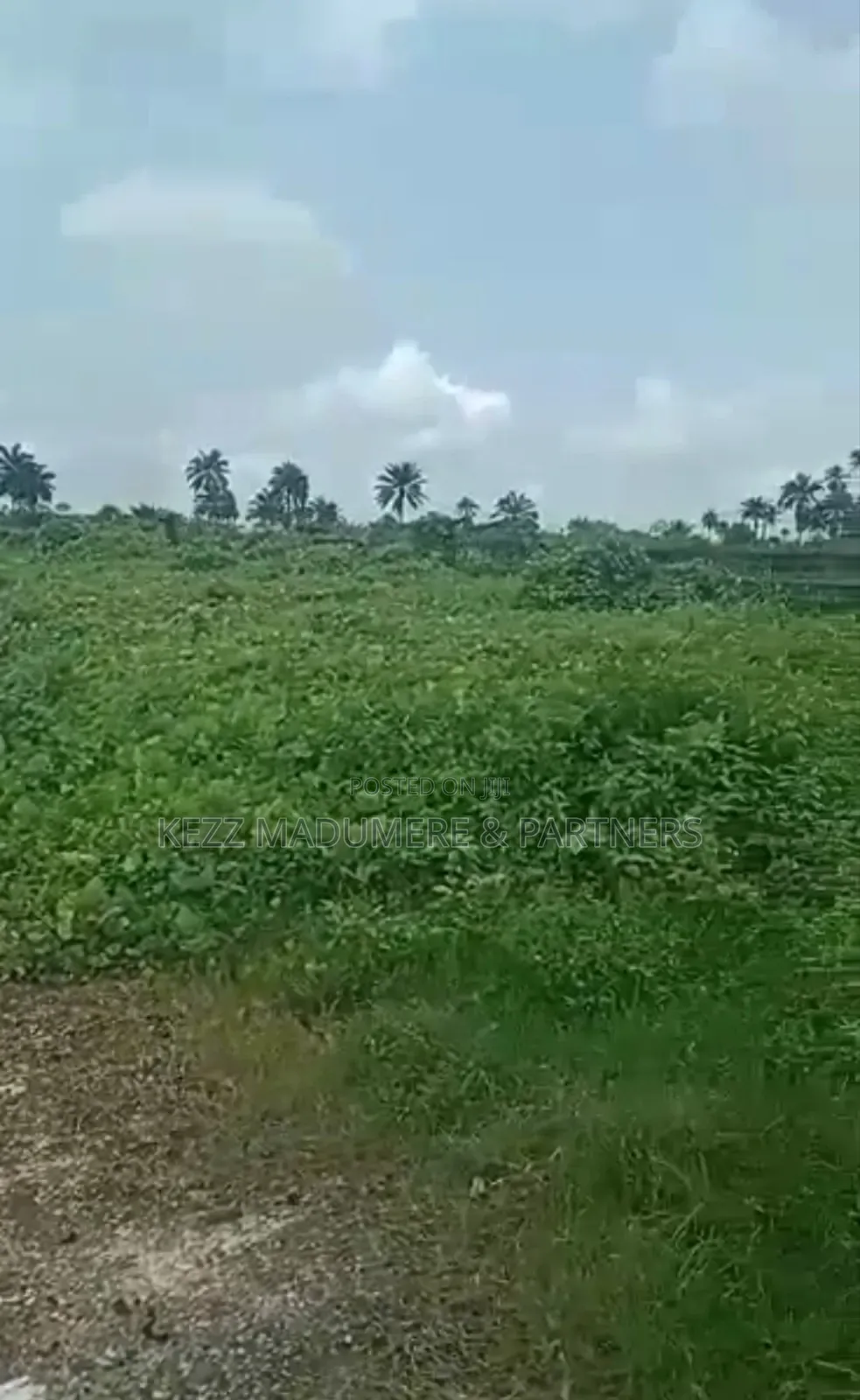 For Sale : 20 Plots in an Estate , Rumuodomaya
