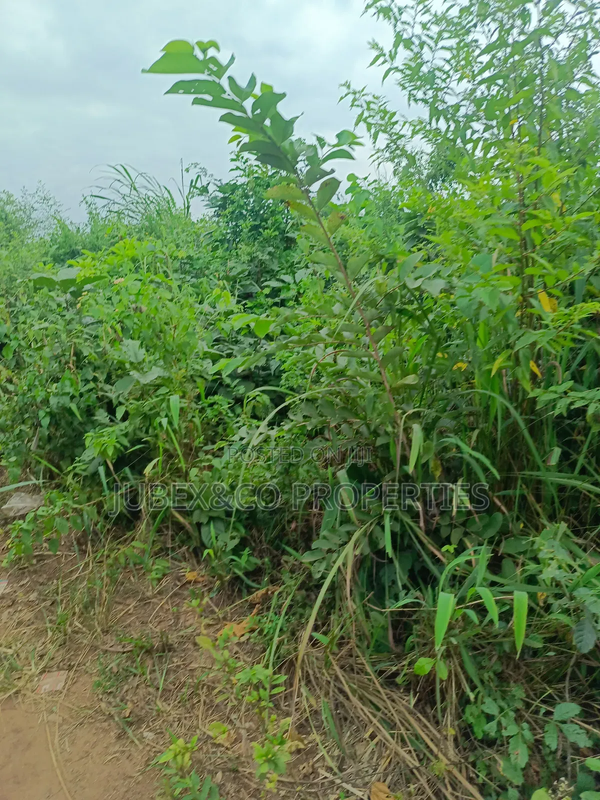 Land for Sale at Alishiba Sango Ota
