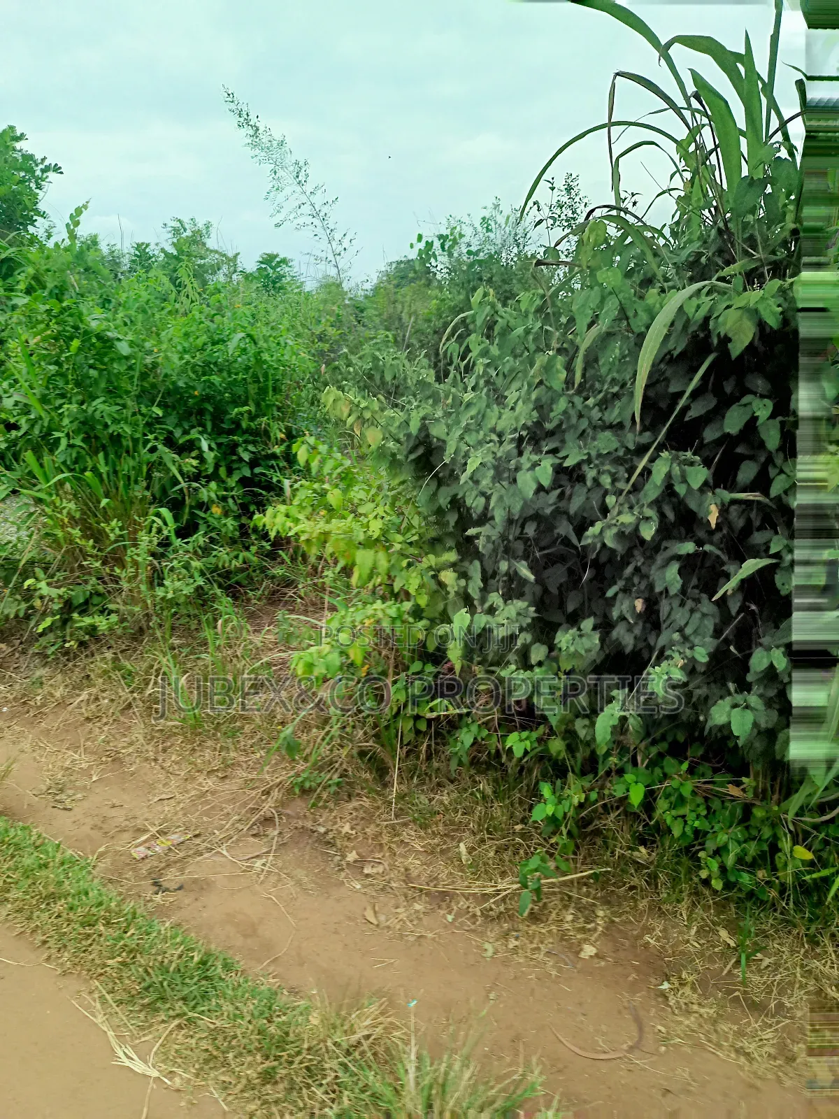 Land for Sale at Alishiba Sango Ota