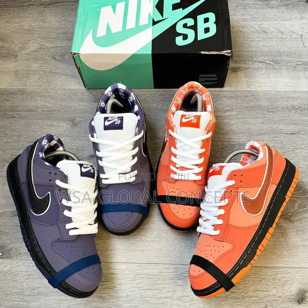 Concept X Nike Sb Dunk Low PRO Soberster Series