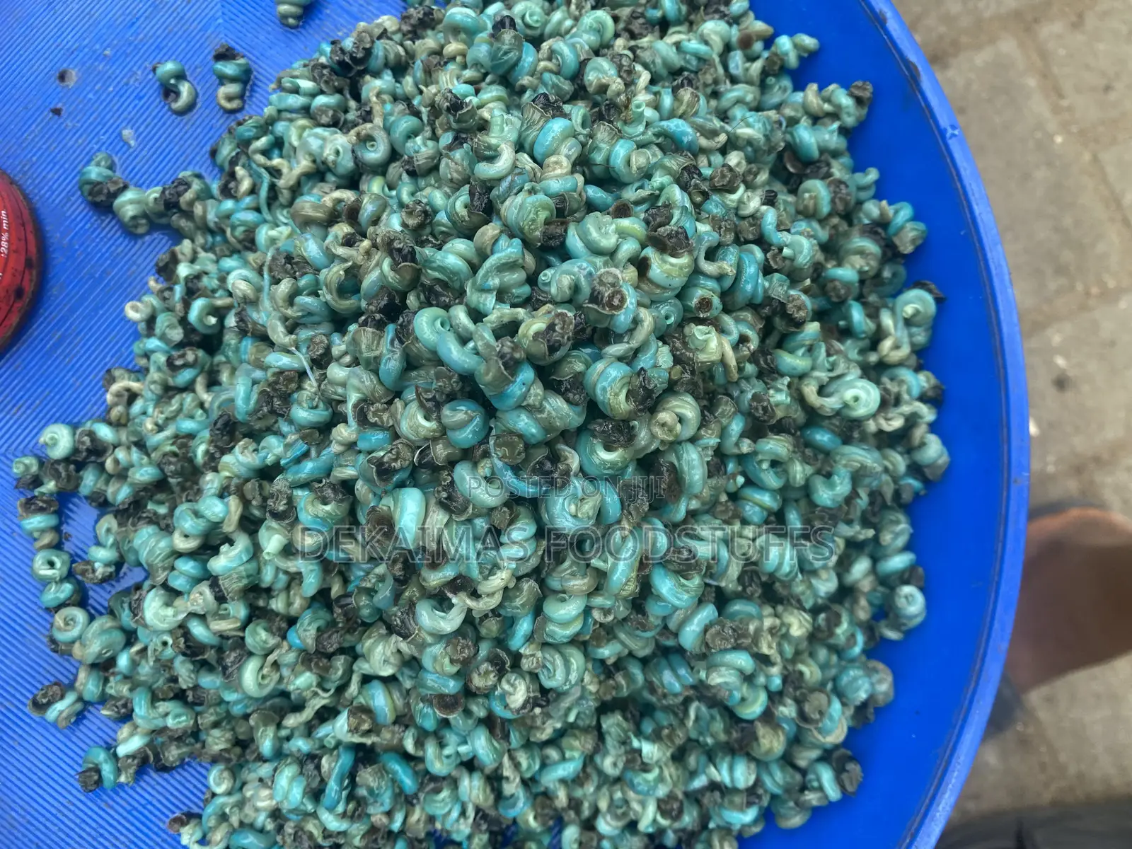 Periwinkle -Dekaimas Foods