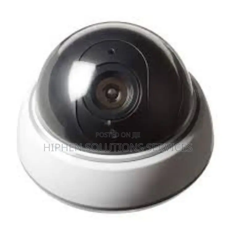 Dummy Battery Power Indoor Dome Camera