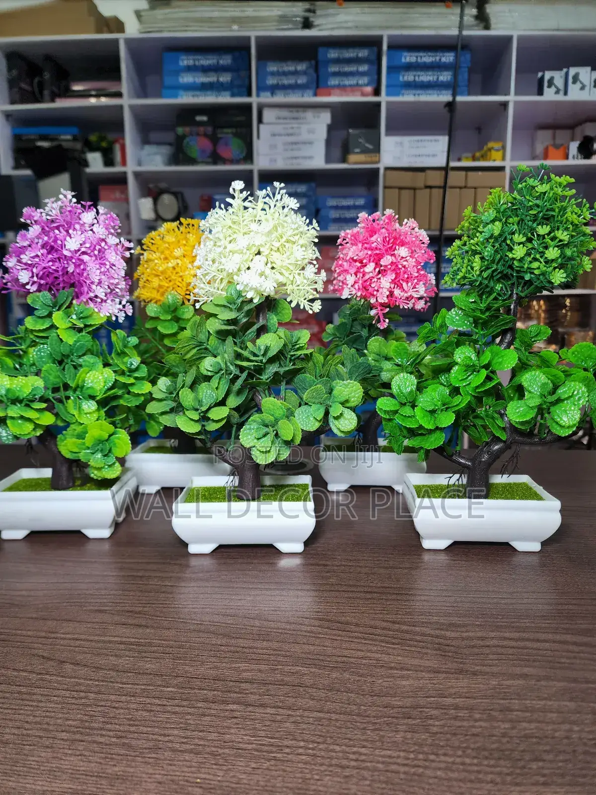 Potted Flowers/Artificial Flowers for Decor