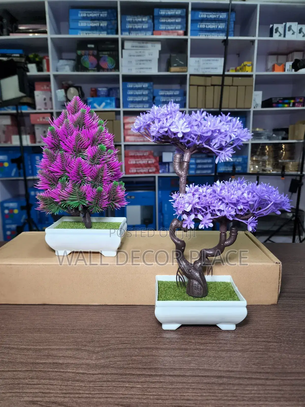 Potted Flowers/Artificial Flowers for Decor
