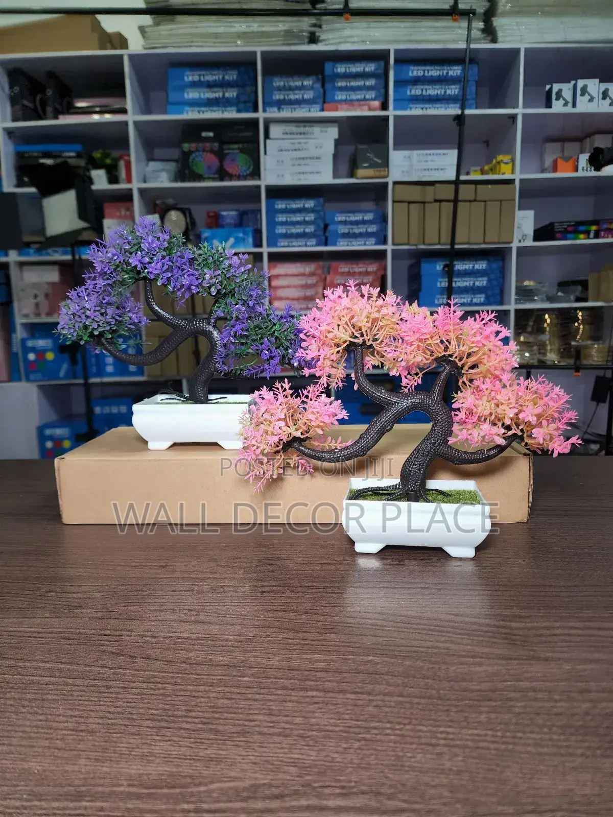 Potted Flowers/Artificial Flowers for Decor