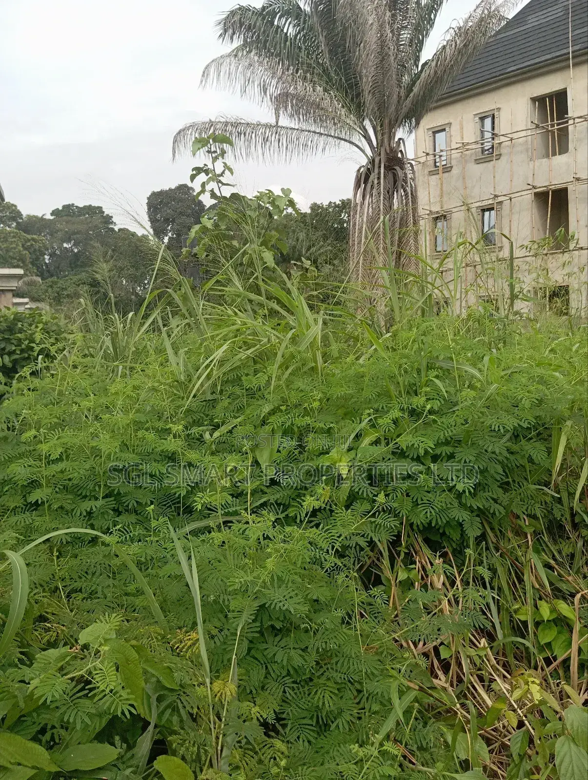 LAND for Sale at Nawfia