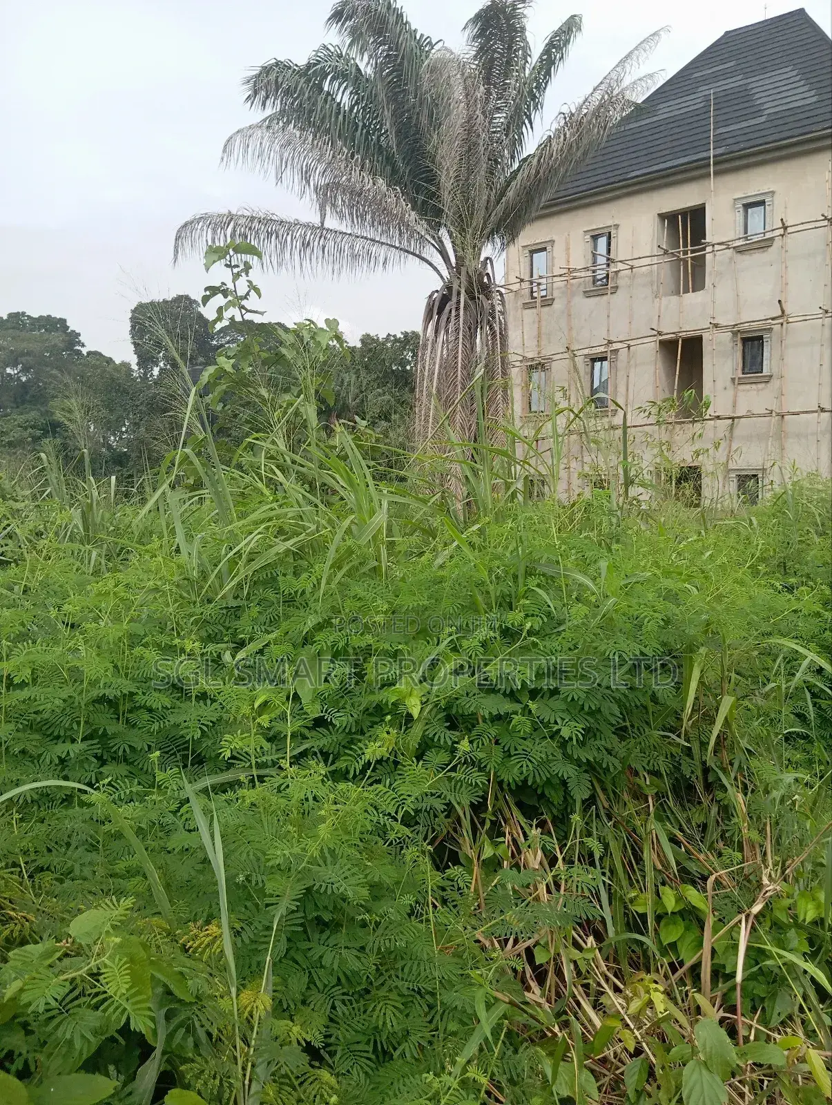 LAND for Sale at Nawfia