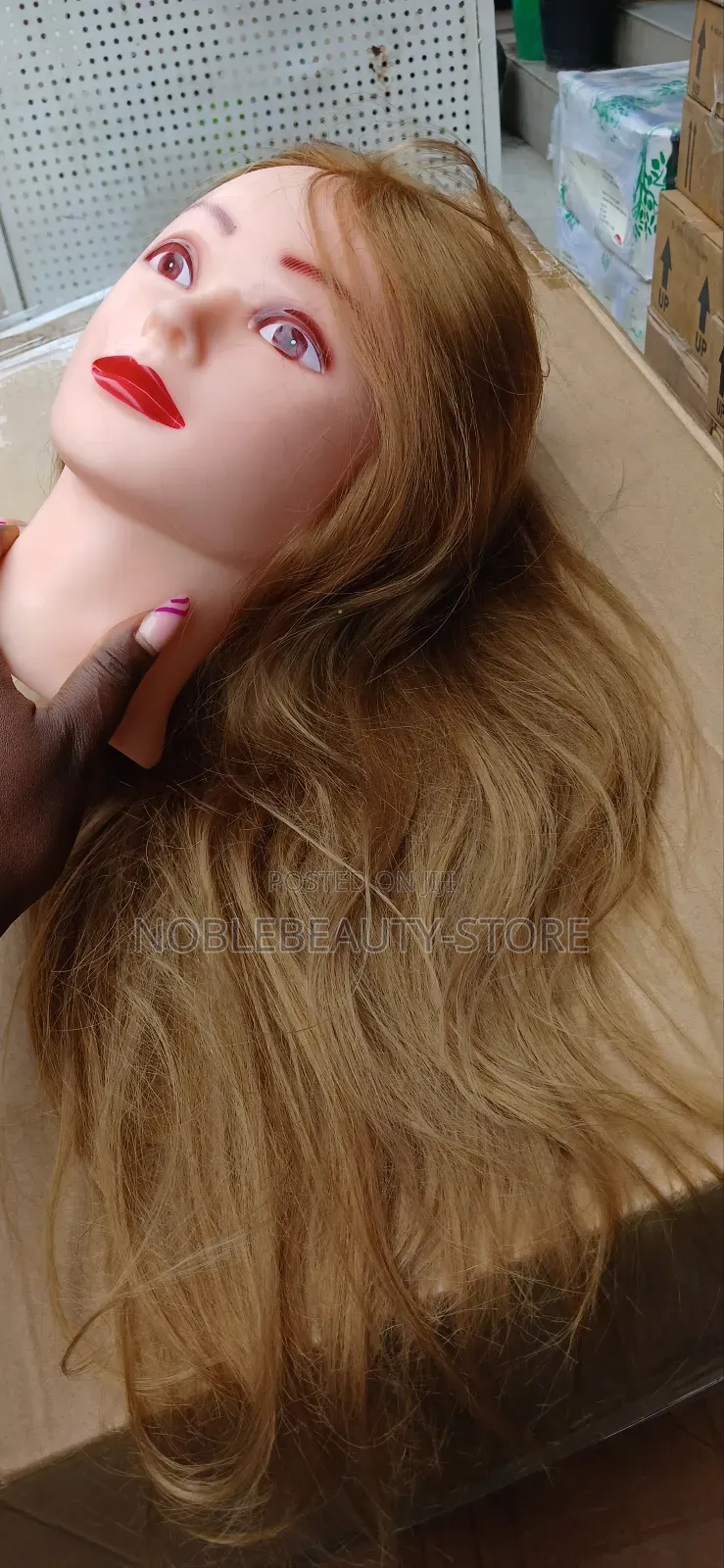 Gold, Black And Wine Colour Original Human Hair Dummy