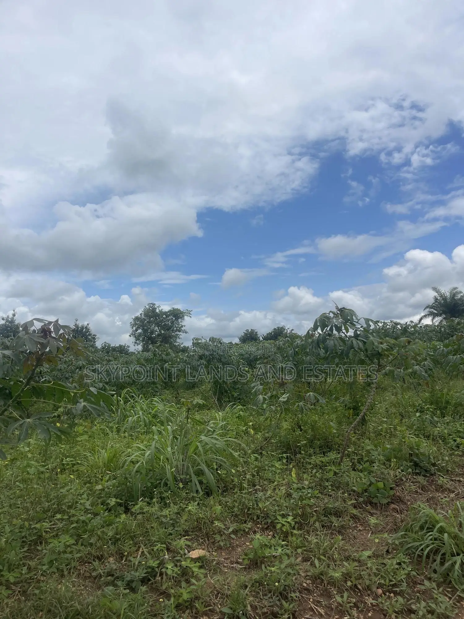50 Acres of Farmland Off Iseyin to Ogbomoso Road