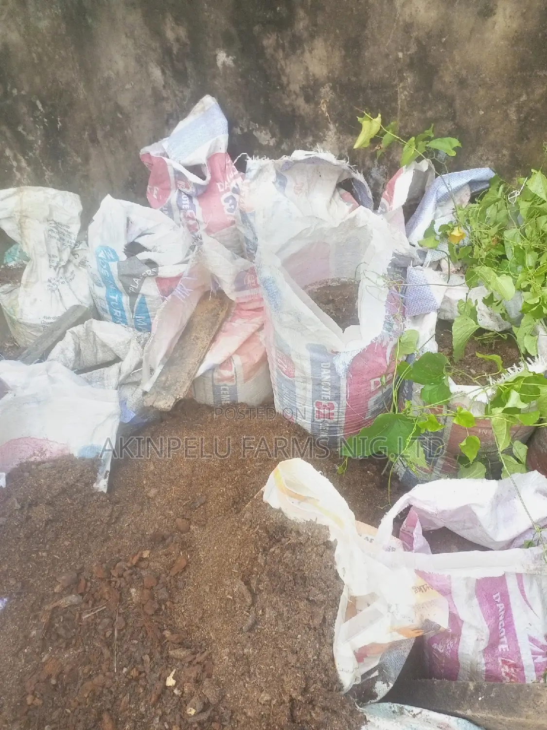 COCOPEAT/COMPOST/TOP SOIL/Humus.