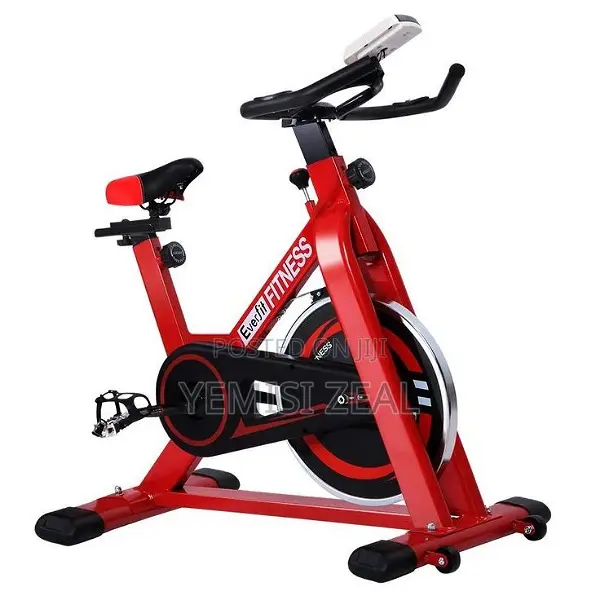 Everfit Fitness Spinning Bike