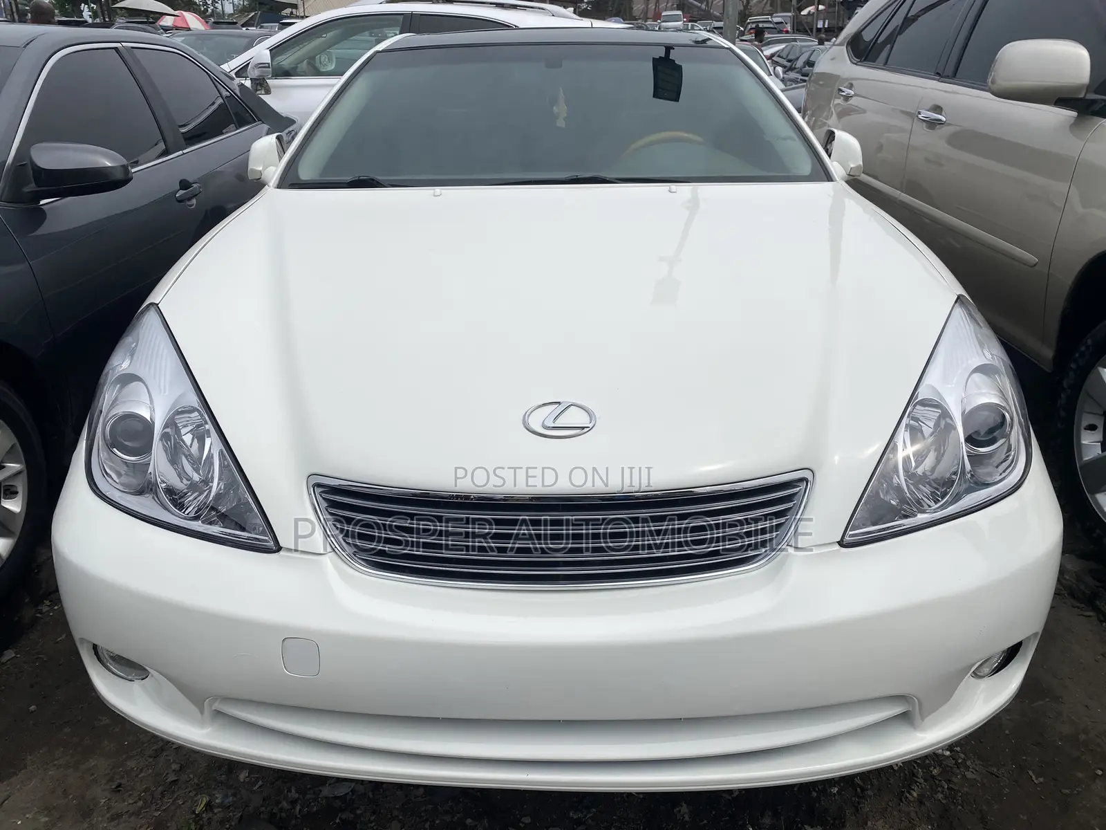 Lexus ES 330 2006 White