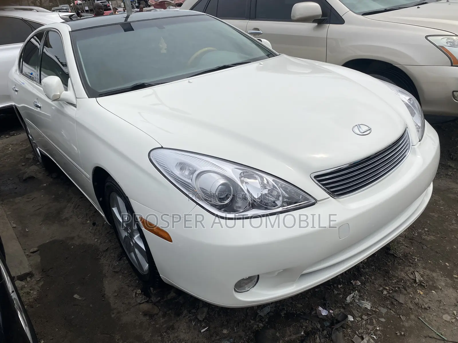 Lexus ES 330 2006 White