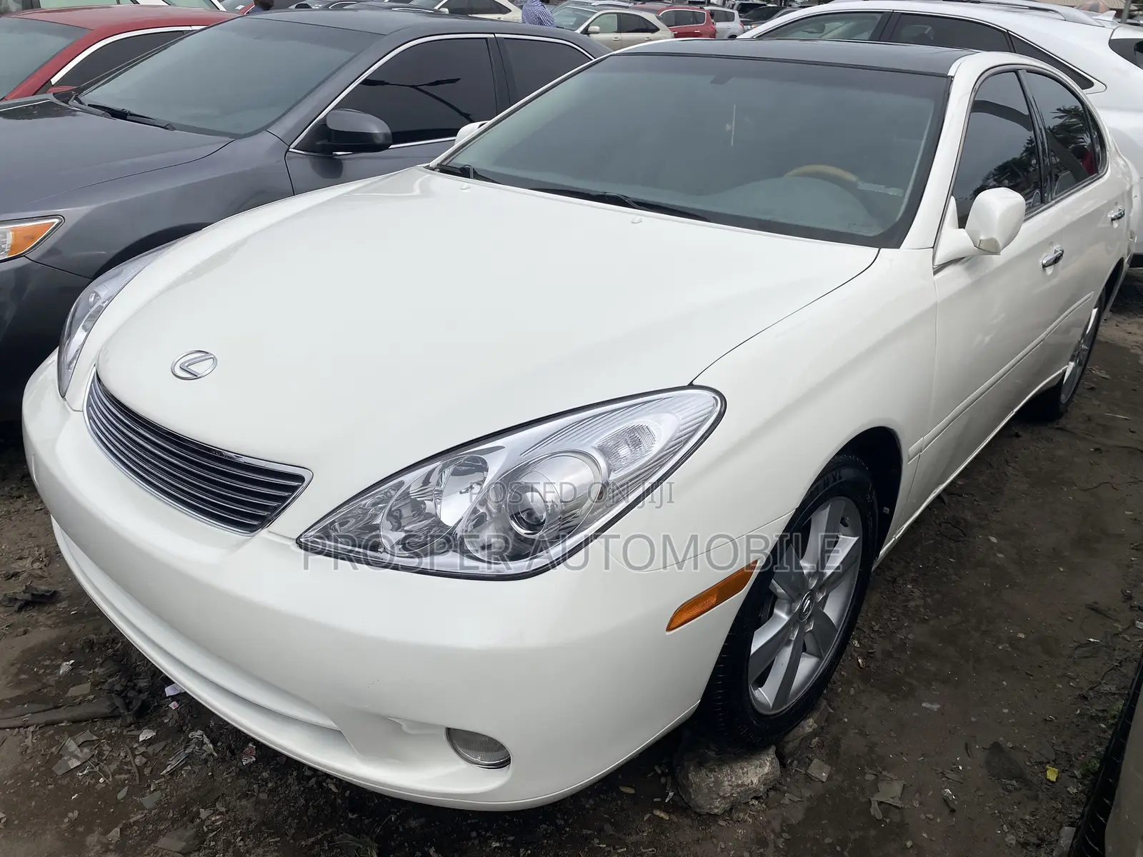 Lexus ES 330 2006 White