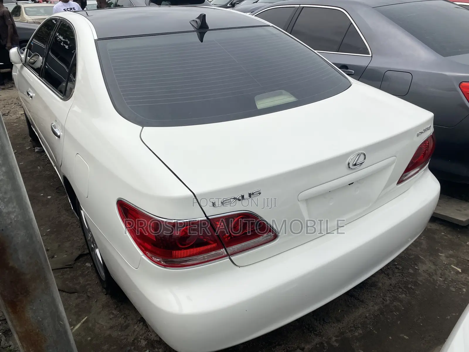 Lexus ES 330 2006 White
