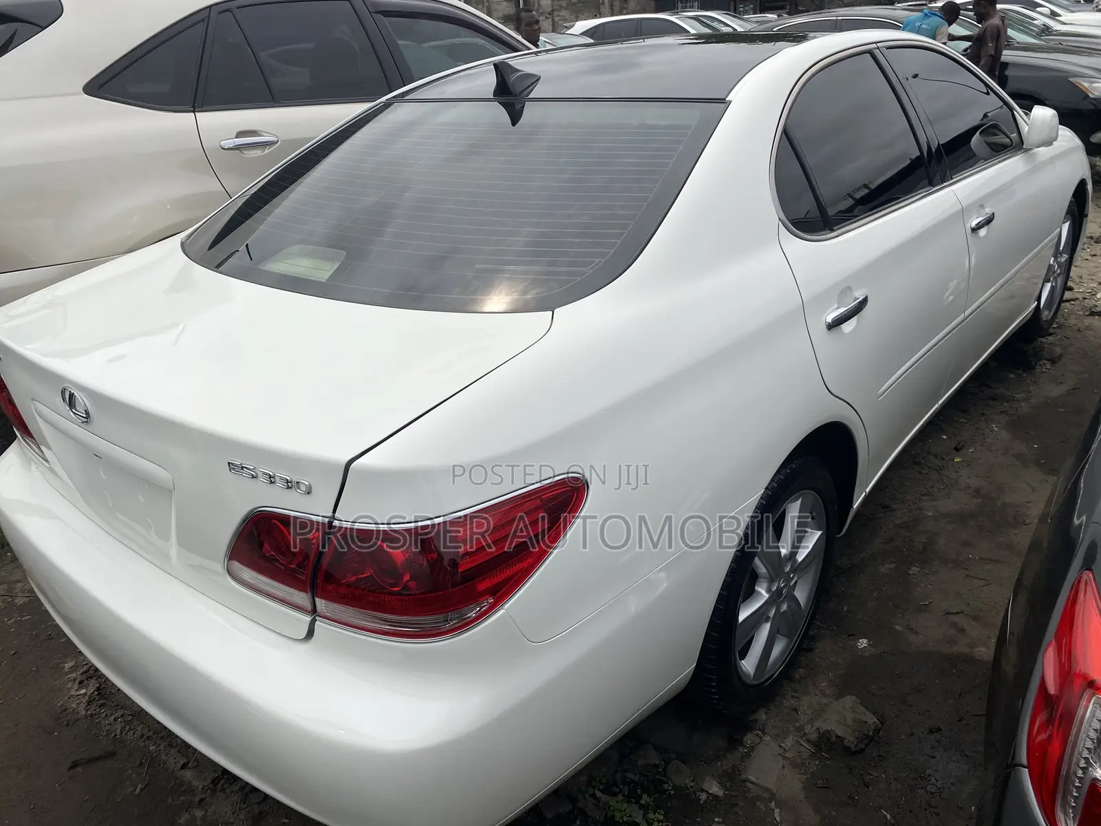 Lexus ES 330 2006 White