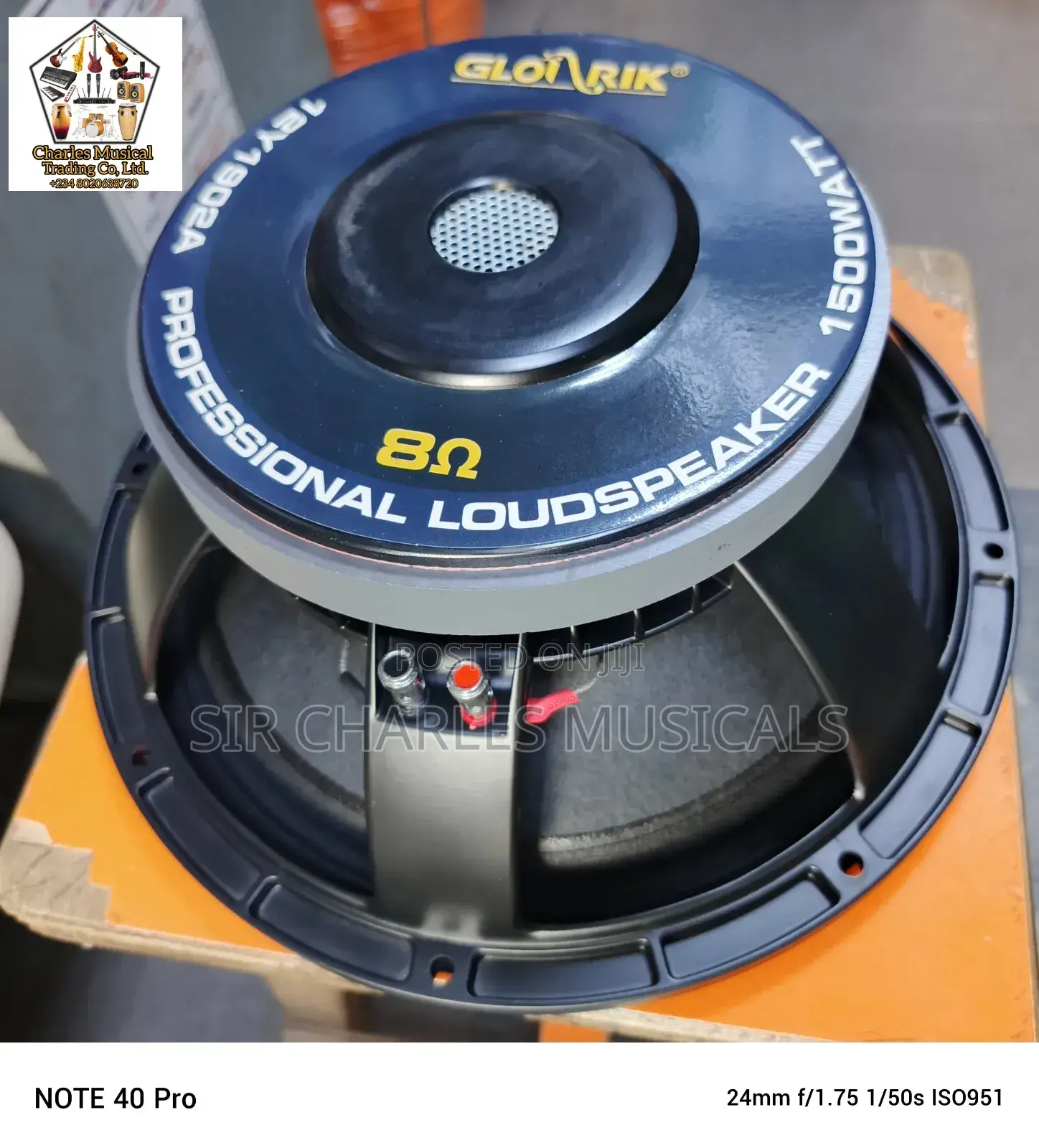 Original 12 Inches Profesion Glorik Naked Speaker Big Magnet