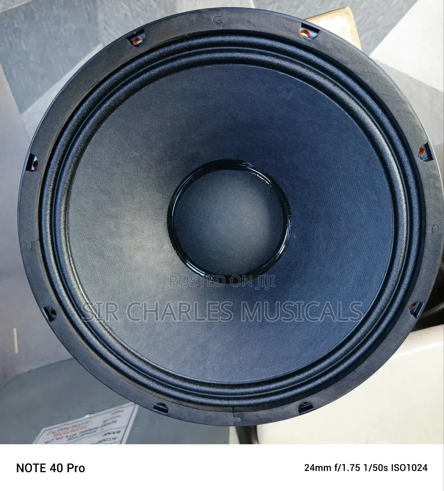 Original 12 Inches Profesion Glorik Naked Speaker Big Magnet
