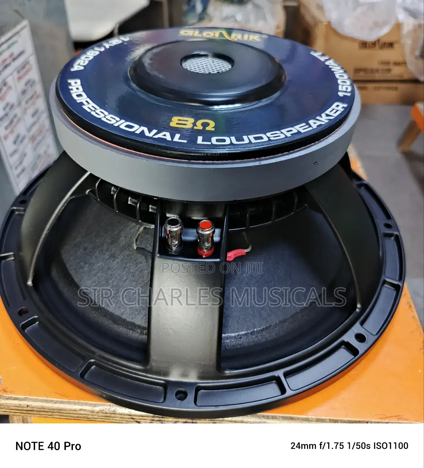 Original 12 Inches Profesion Glorik Naked Speaker Big Magnet