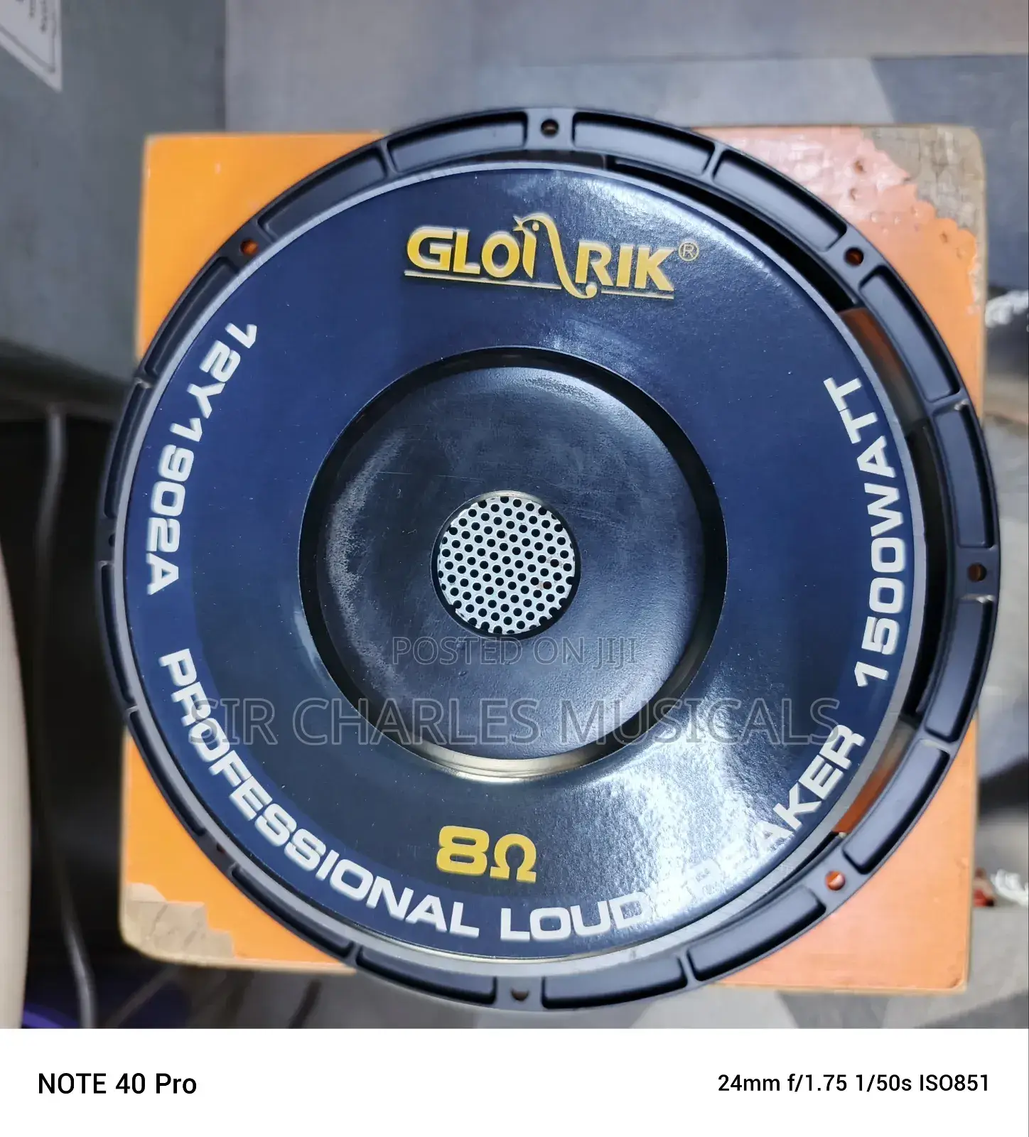 Original 12 Inches Profesion Glorik Naked Speaker Big Magnet