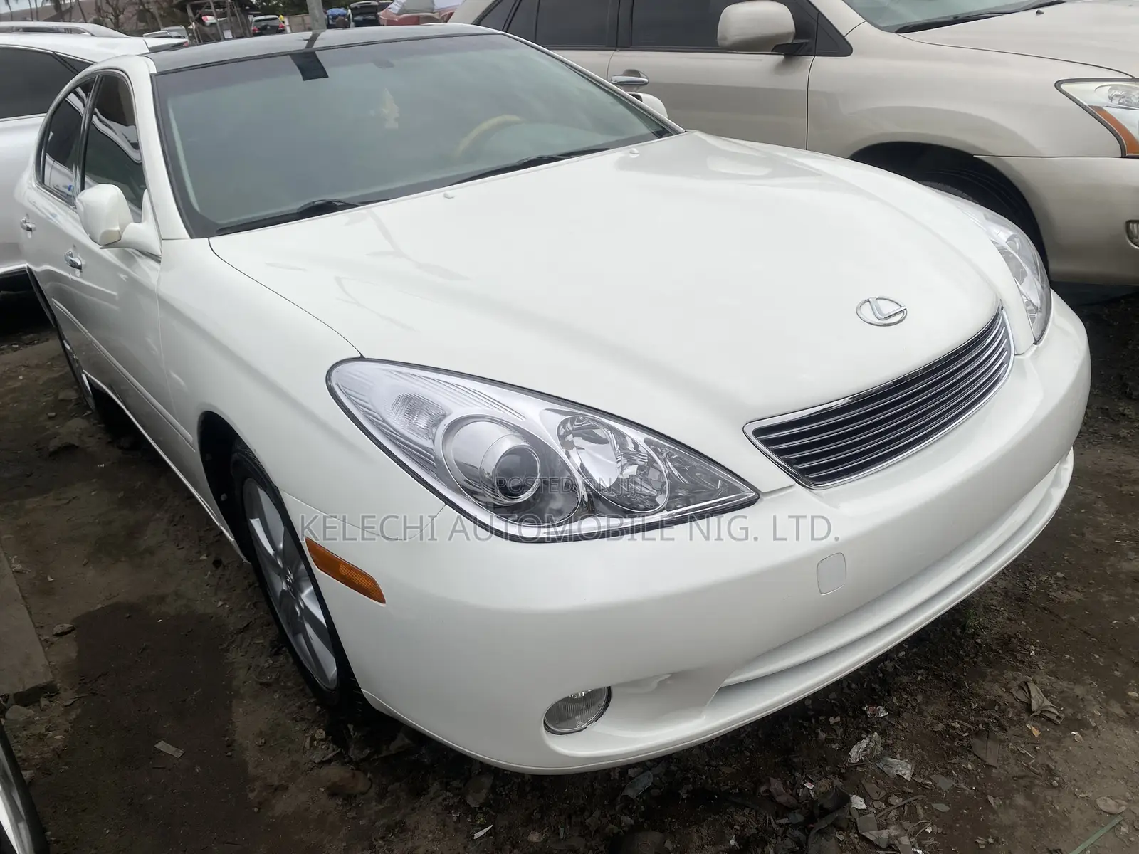 Lexus ES 330 2006 White