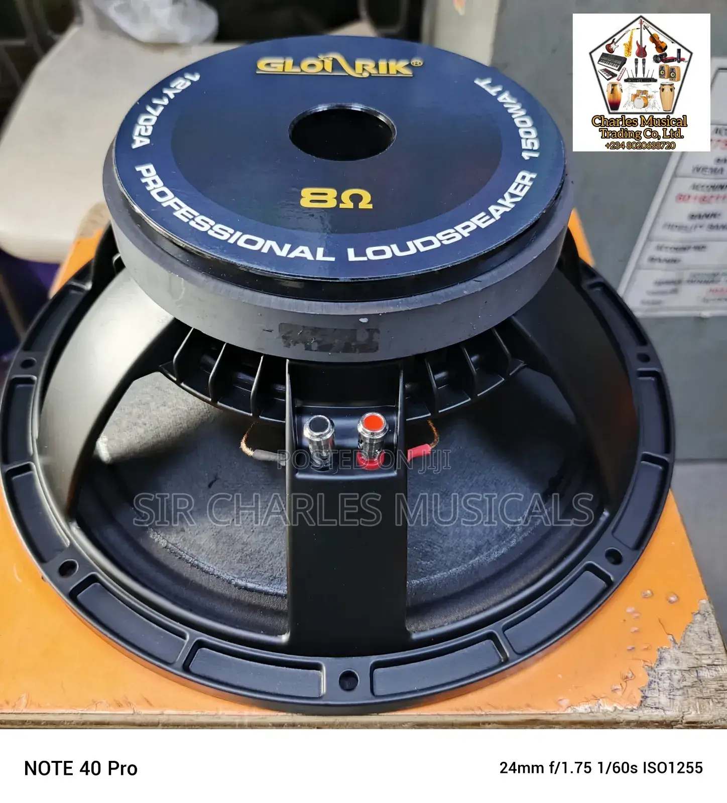 Original 12 Inches Professional Glorik Naked Speaker