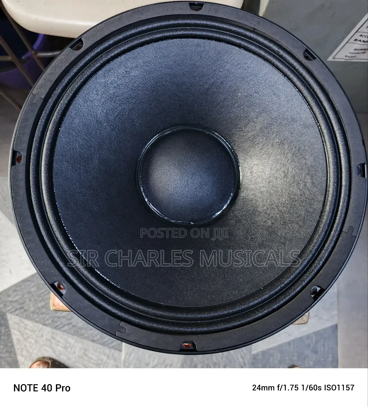 Original 12 Inches Professional Glorik Naked Speaker