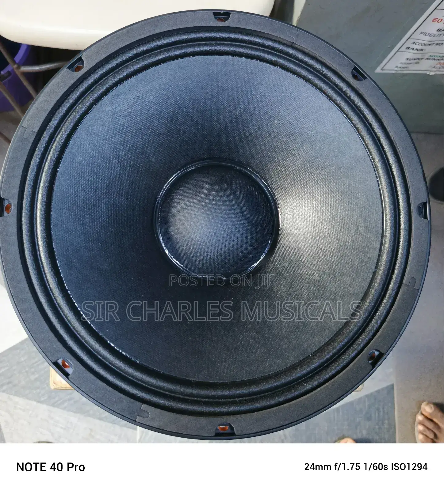 Original 12 Inches Professional Glorik Naked Speaker