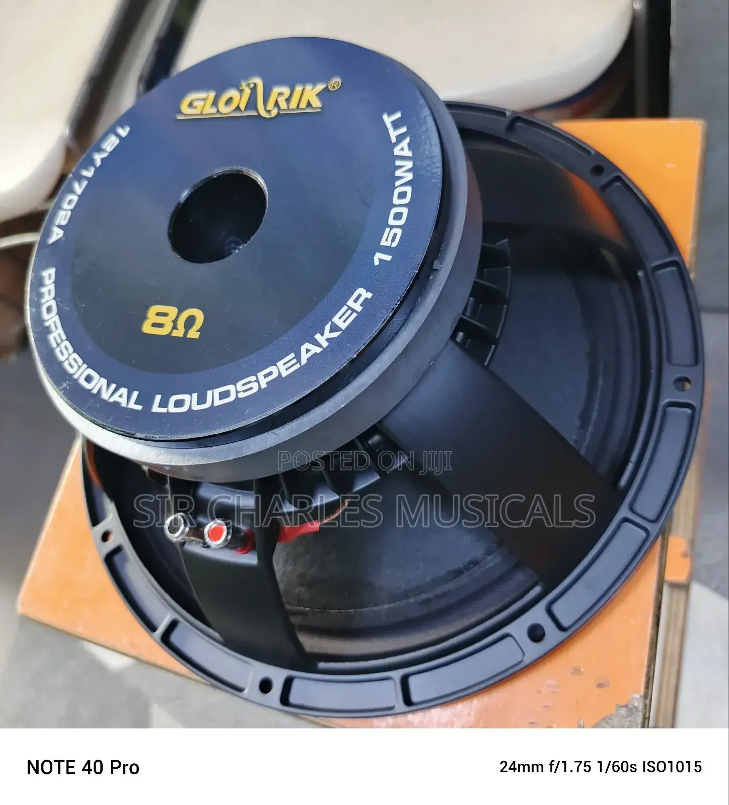 Original 12 Inches Professional Glorik Naked Speaker