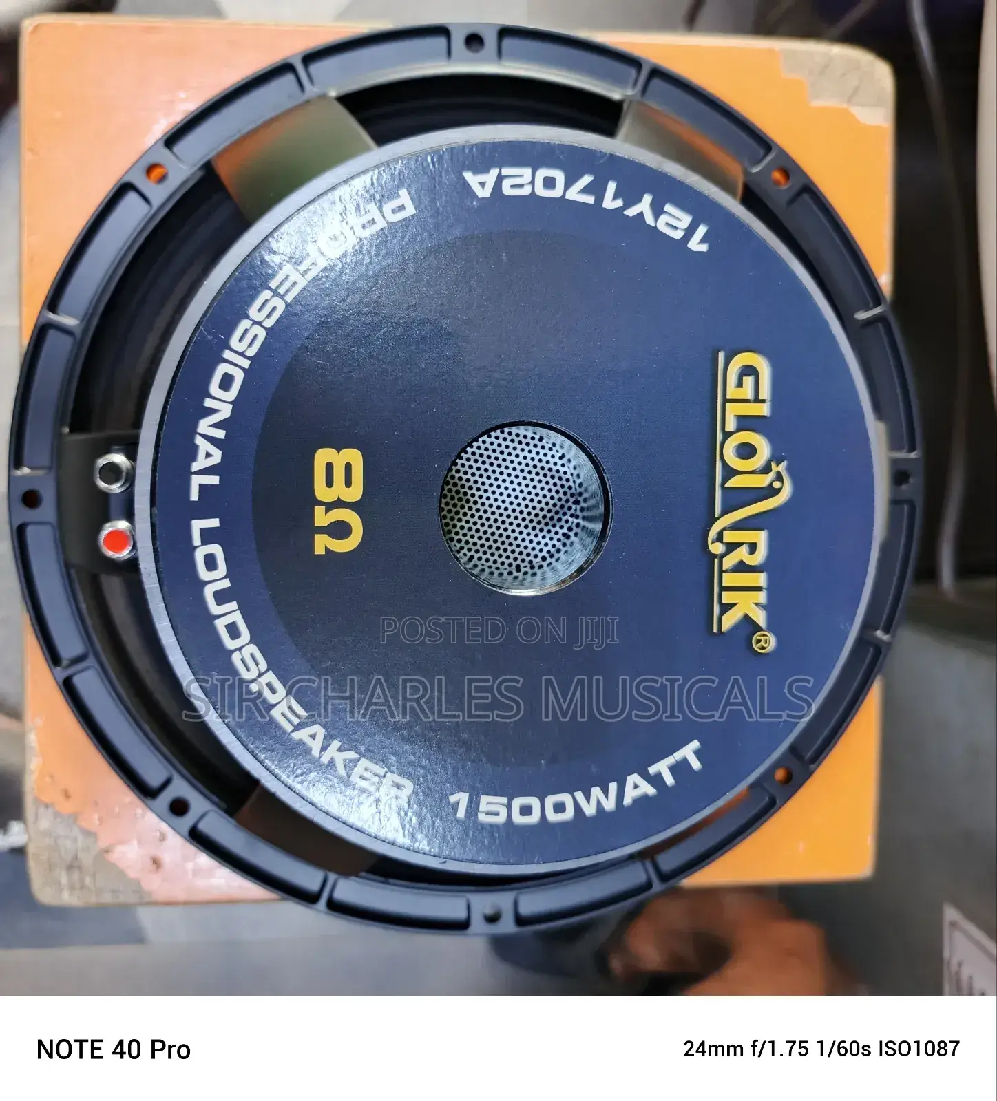 Original 12 Inches Professional Glorik Naked Speaker