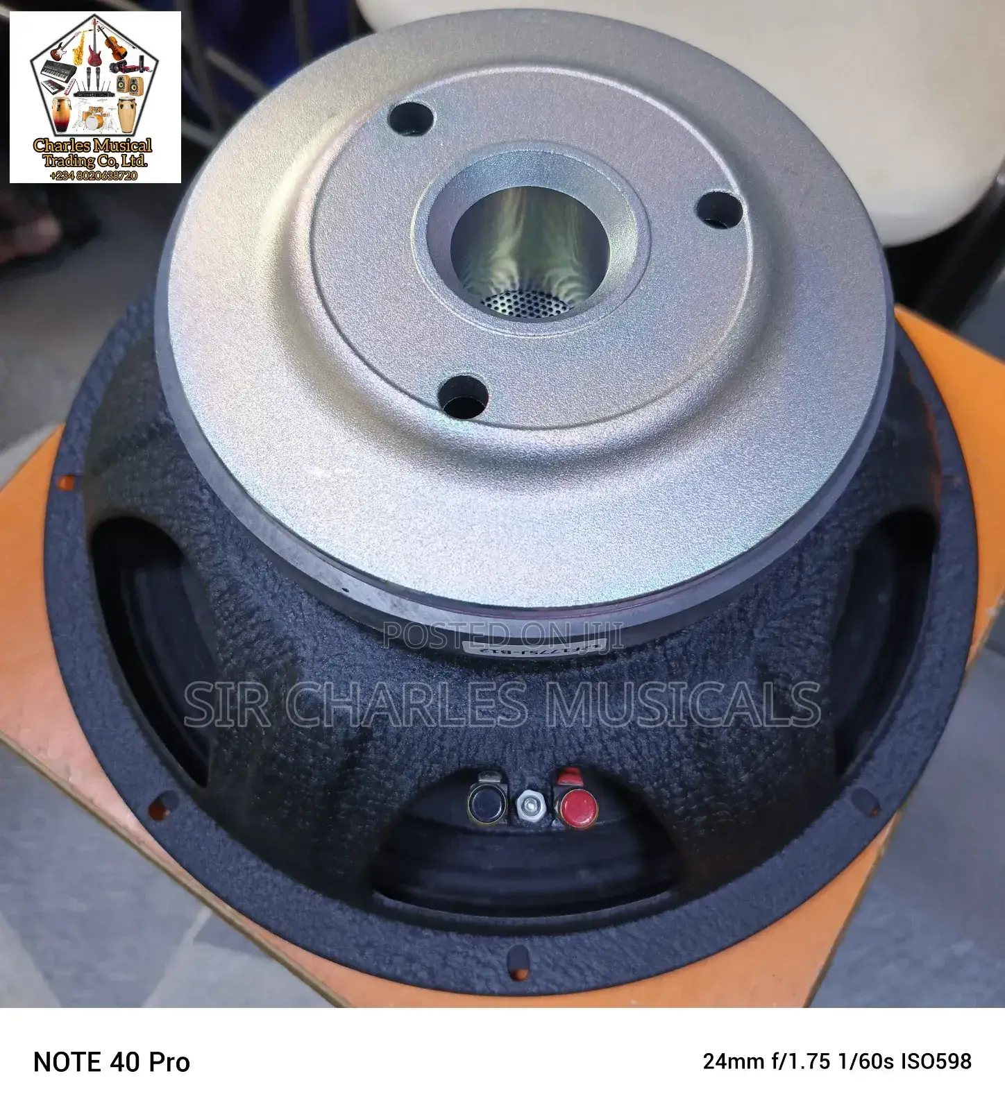 Original 15 Inches Profesion Glorik Naked Speaker Big Magnet