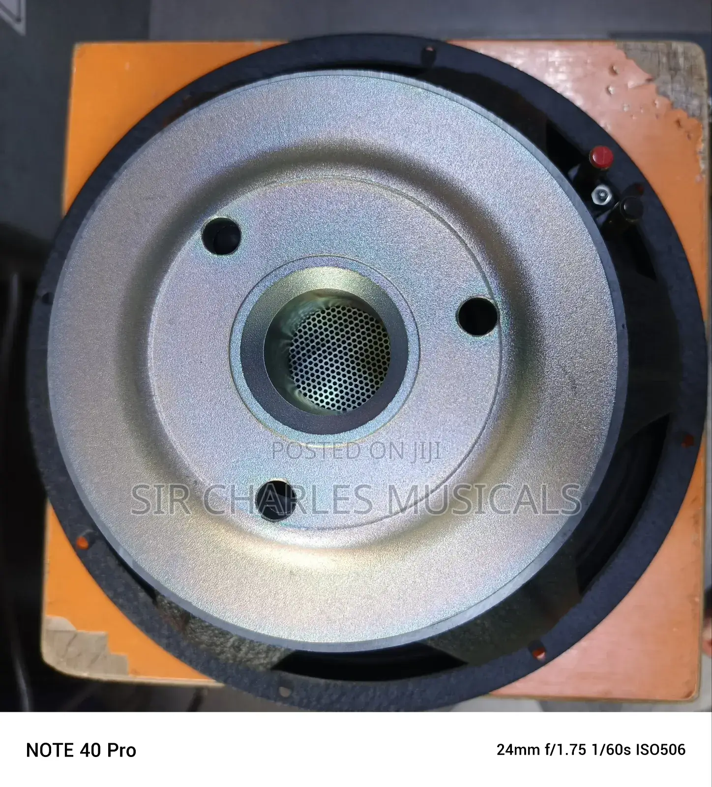 Original 15 Inches Profesion Glorik Naked Speaker Big Magnet