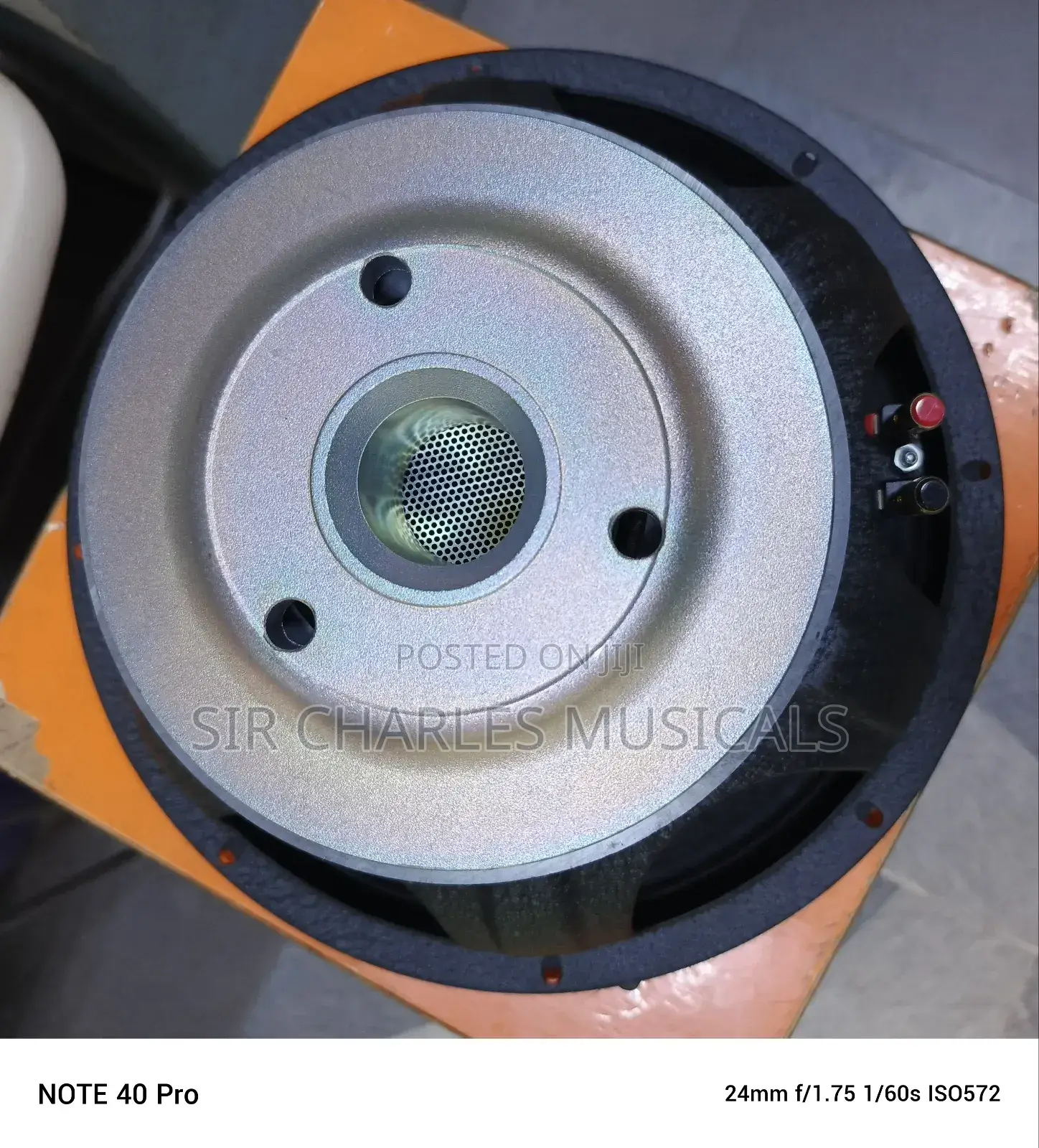 Original 15 Inches Profesion Glorik Naked Speaker Big Magnet