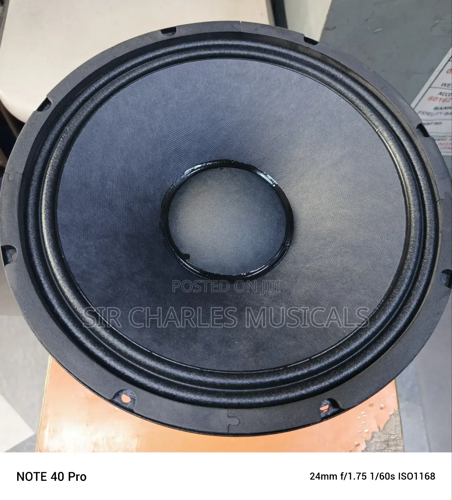 Original 15 Inches Profesion Glorik Naked Speaker Big Magnet