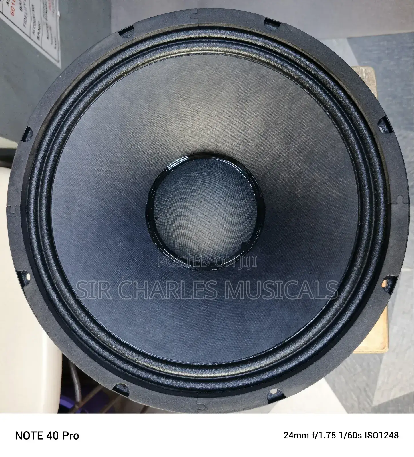 Original 15 Inches Profesion Glorik Naked Speaker Big Magnet