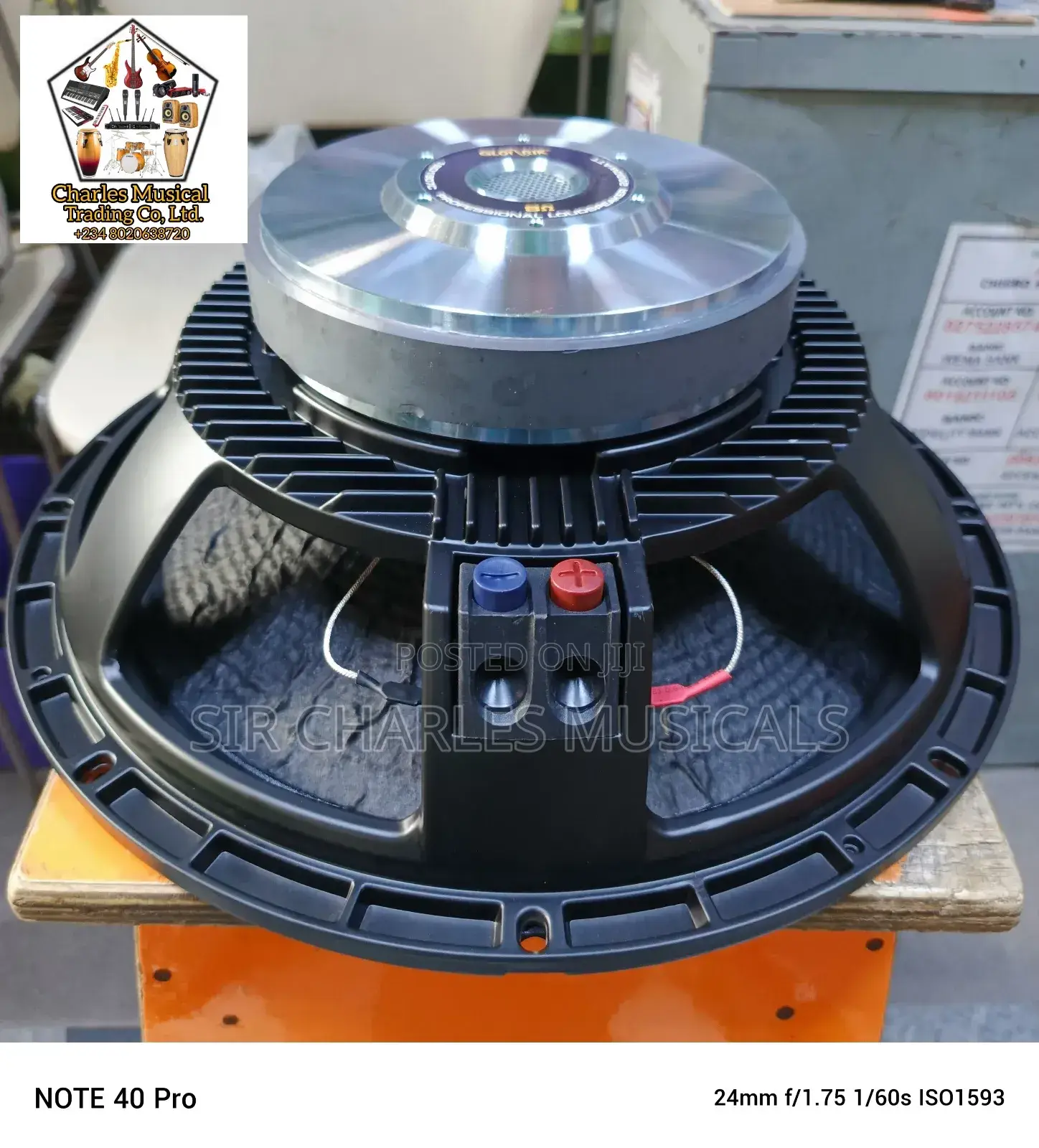 Original 15 Inches Glorik Bass Naked Speaker Big Magnet