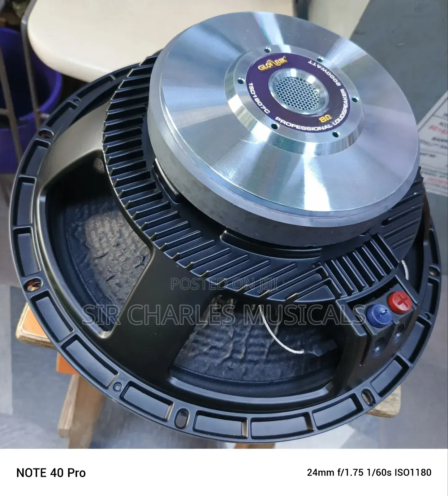 Original 15 Inches Glorik Bass Naked Speaker Big Magnet