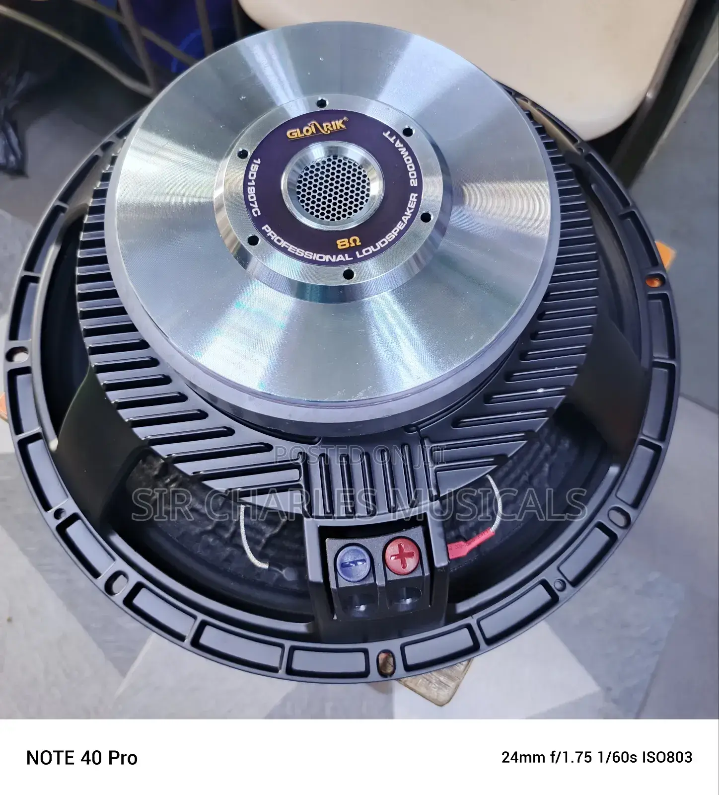 Original 15 Inches Glorik Bass Naked Speaker Big Magnet