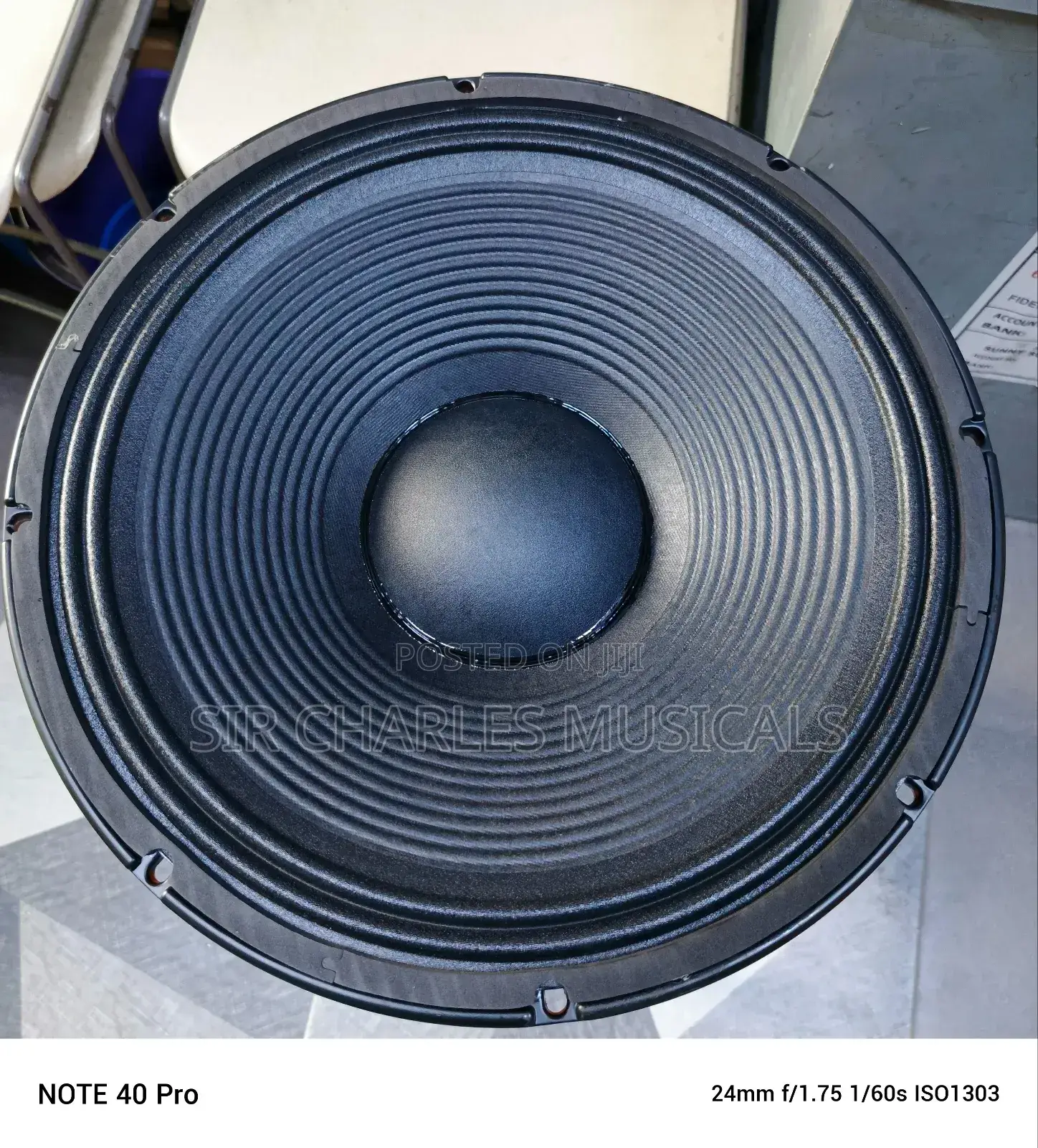Original 15 Inches Glorik Bass Naked Speaker Big Magnet