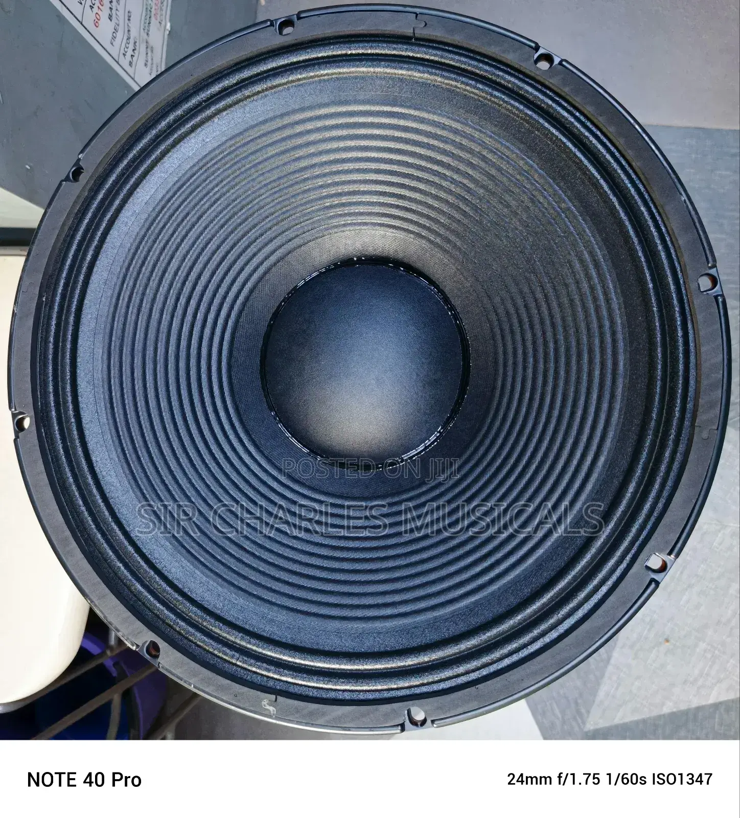 Original 15 Inches Glorik Bass Naked Speaker Big Magnet