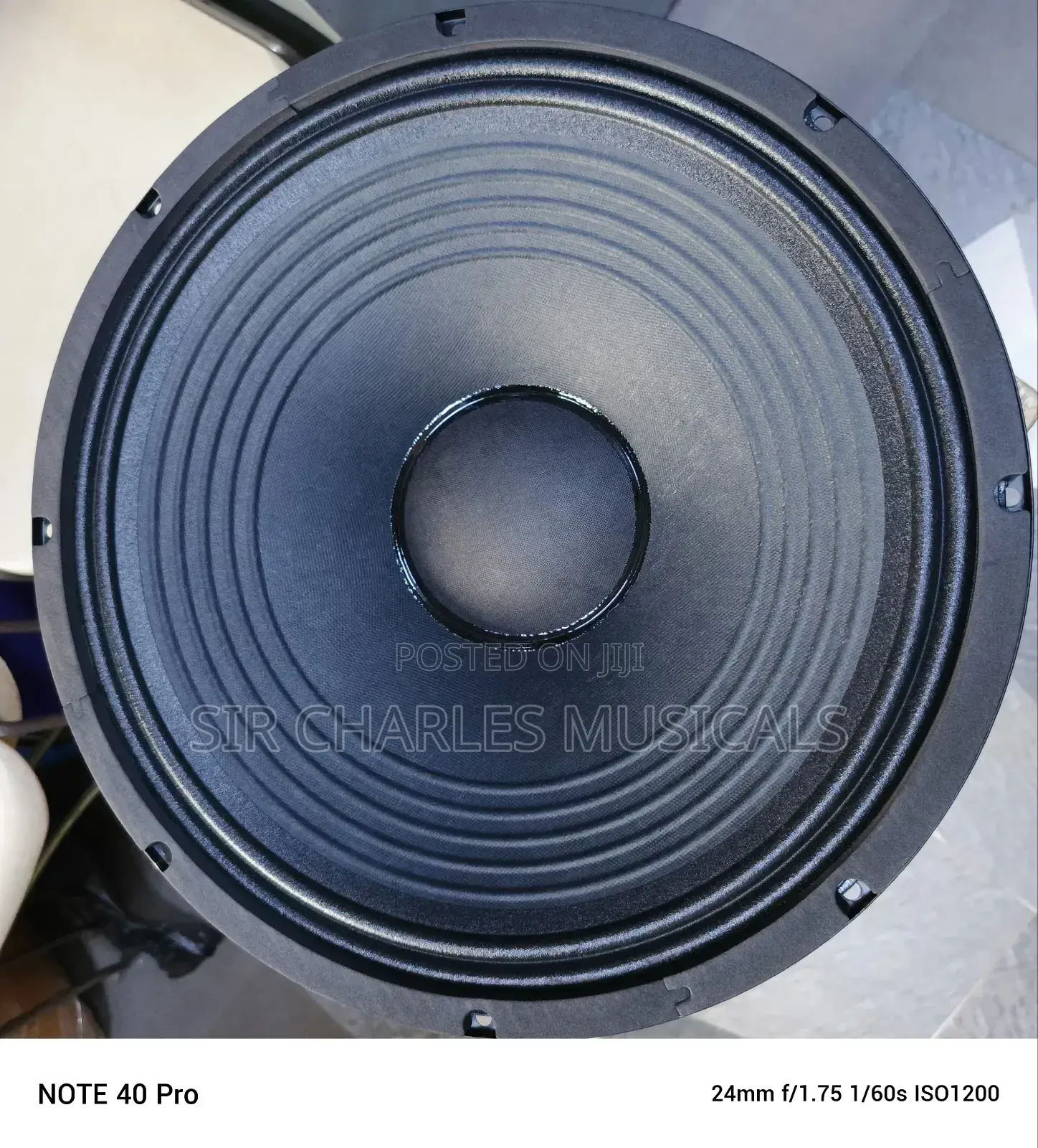 Original 15 Inches Professional Glorik Bass Naked Speaker