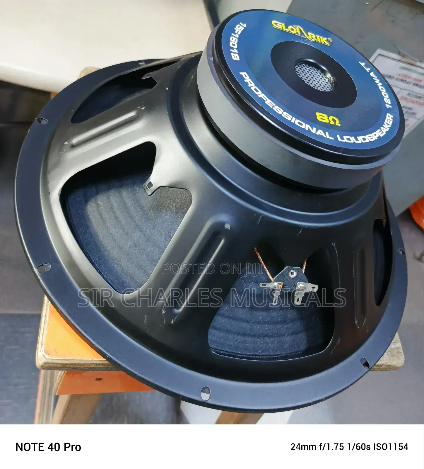 Original 15 Inches Professional Glorik Bass Naked Speaker