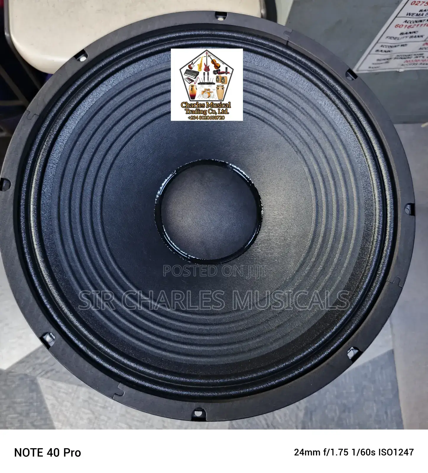 Original 15 Inches Professional Glorik Bass Naked Speaker