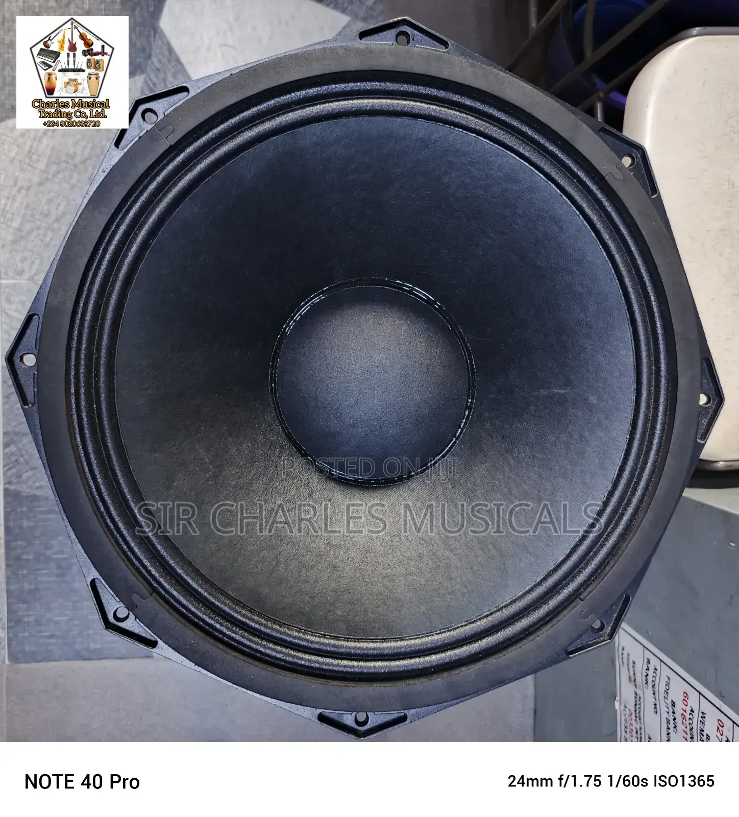 Original 18 Inches Professio Glorik Naked Speaker Big Magnet