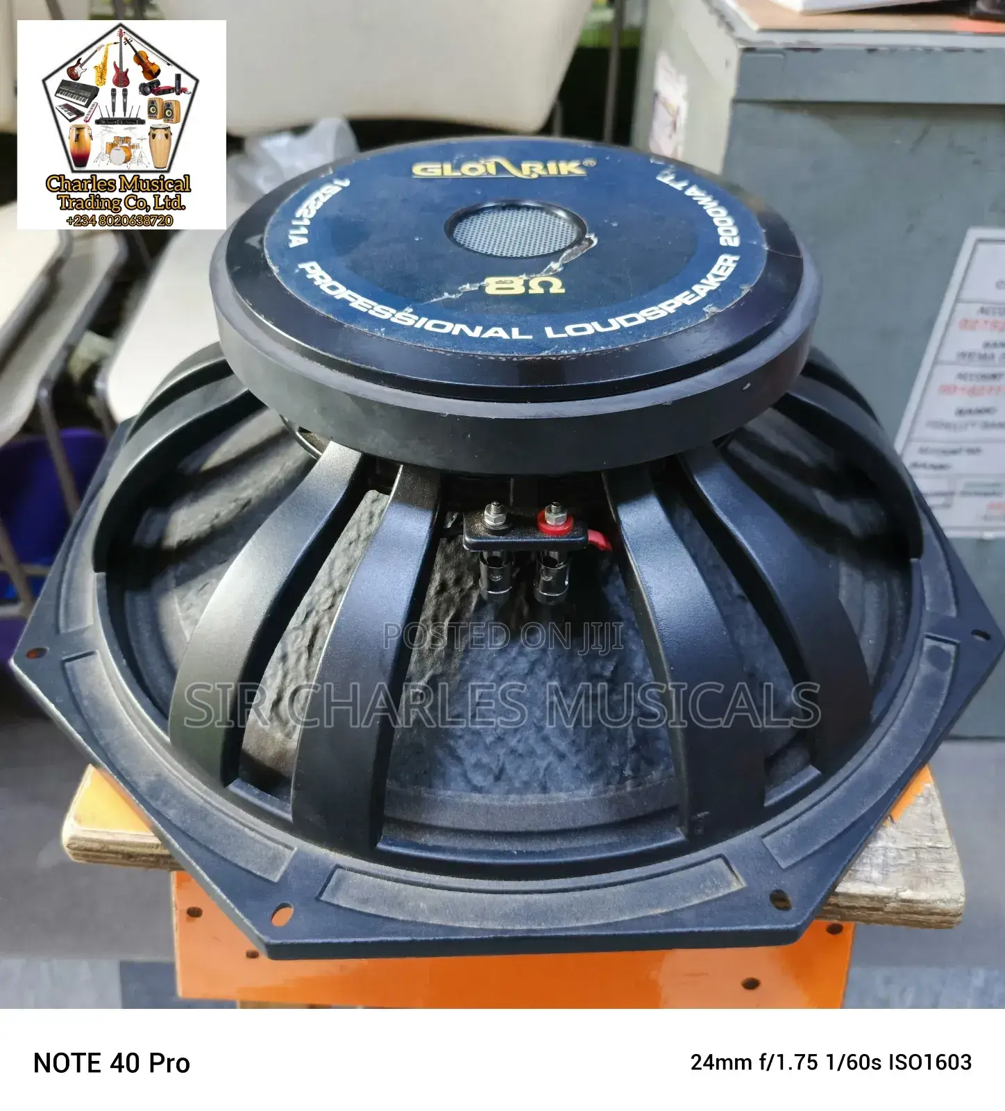 Original 18 Inches Professio Glorik Naked Speaker Big Magnet
